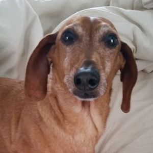 Meet your Posher, Teri